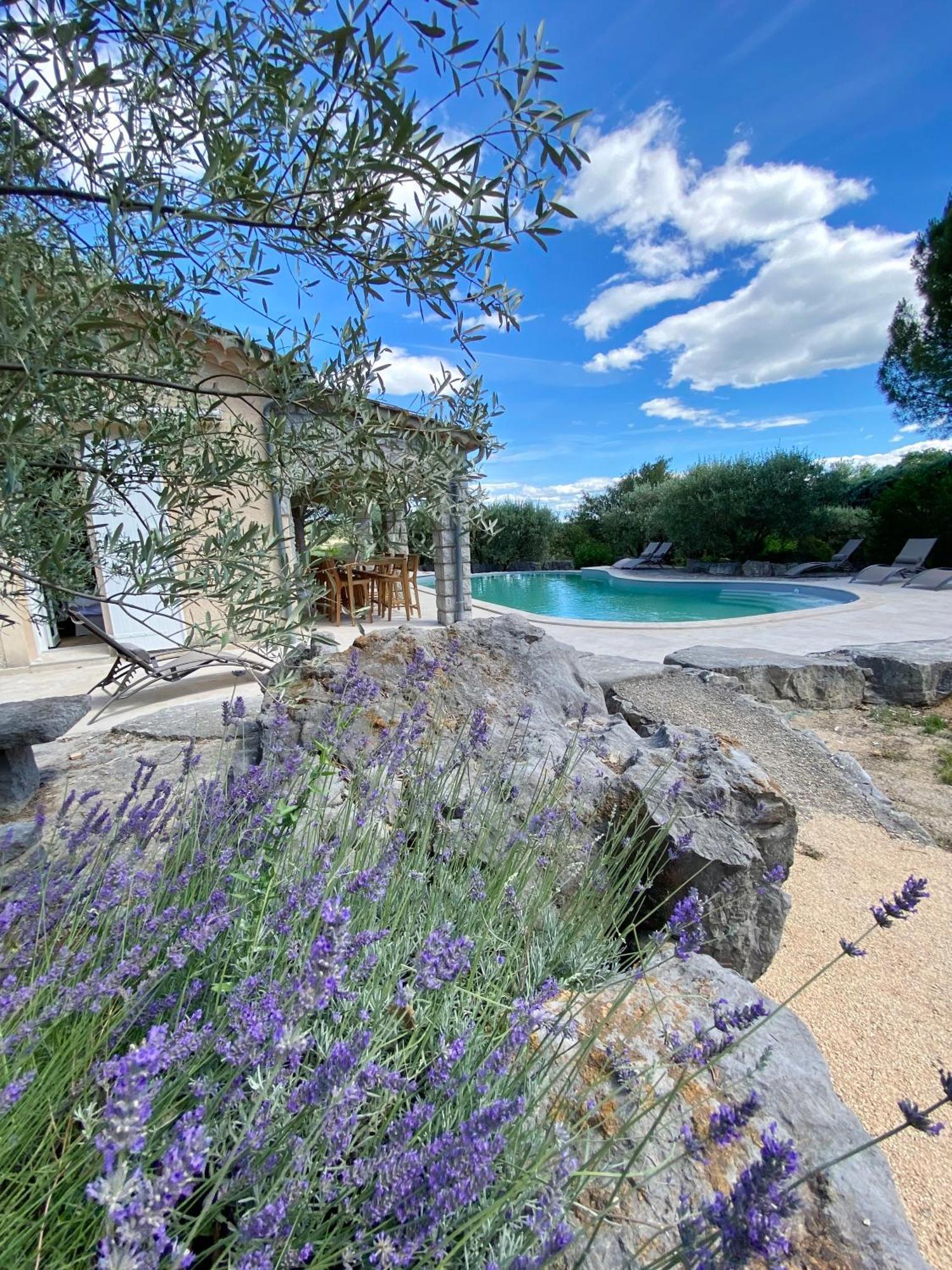 Maison Pour 12P, Piscine A Debordement Chauffee D'Avril A Octobre Inclus Ruoms Kültér fotó